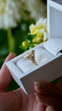 Gold ring in a white box held by a hand with flowers in the background