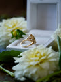 Gold ring on a white box with white flowers around
