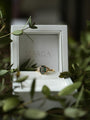 Gold ring with a green gemstone in a MARGA box surrounded by green leaves.