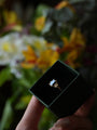 Diamond ring in a box held by a hand with a blurred floral background