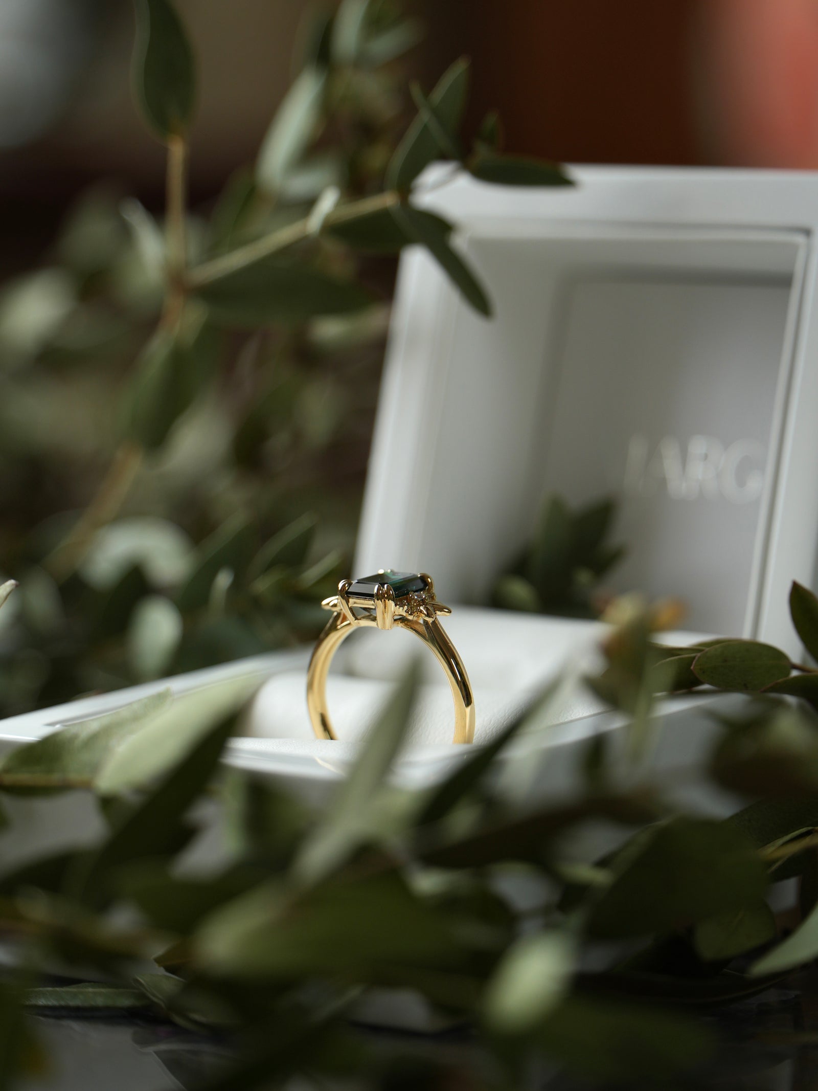 Gold ring with a black gemstone on a white box with green leaves in the foreground