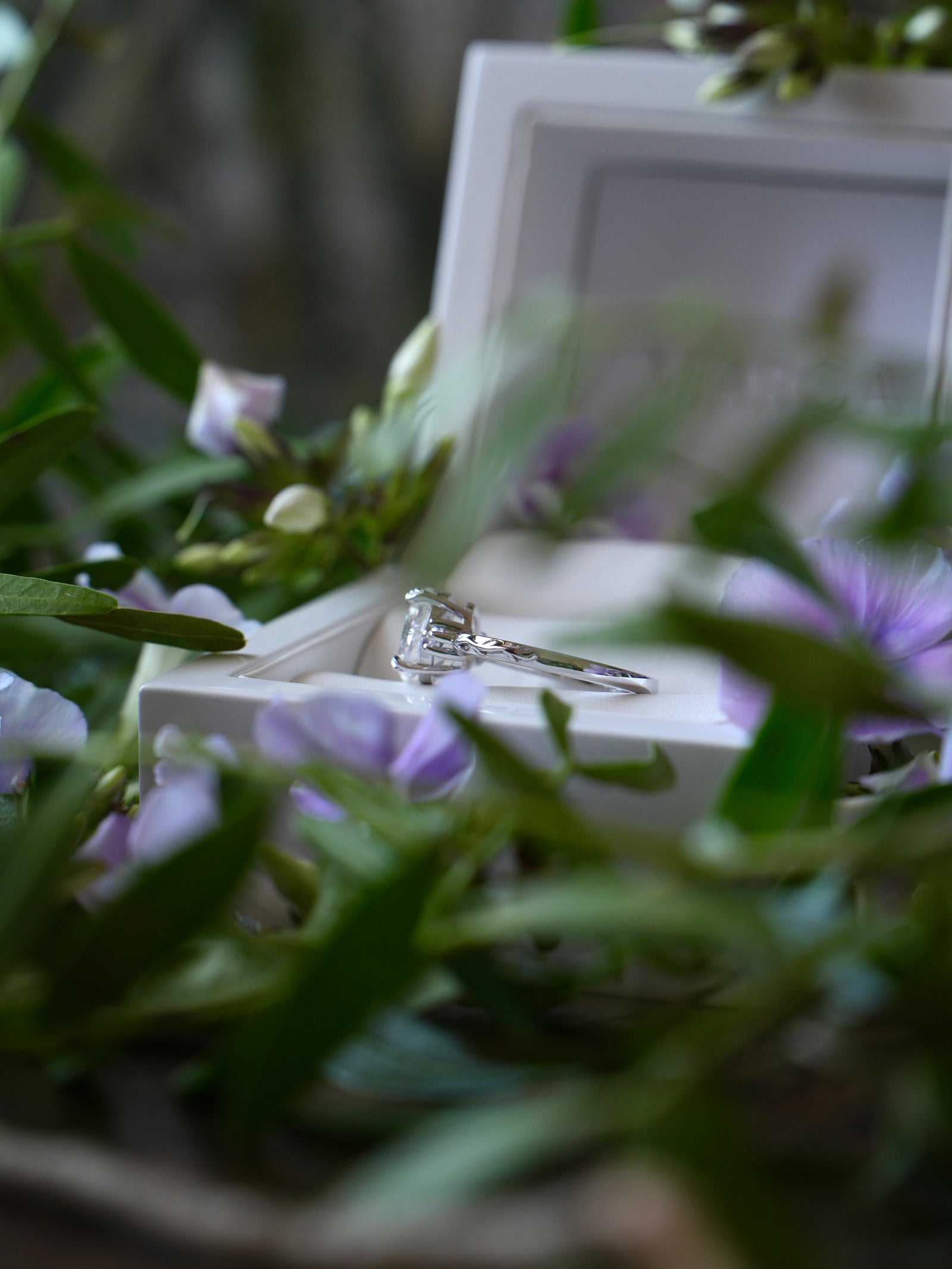 White gold oval ring in box Marga