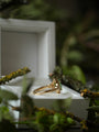 Gold ring in an open white box with a natural background