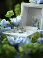 Silver ring in a white box with 'Marc' branding, surrounded by blue flowers.