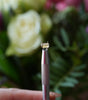 Heliodor 1.54ct Emerald cut