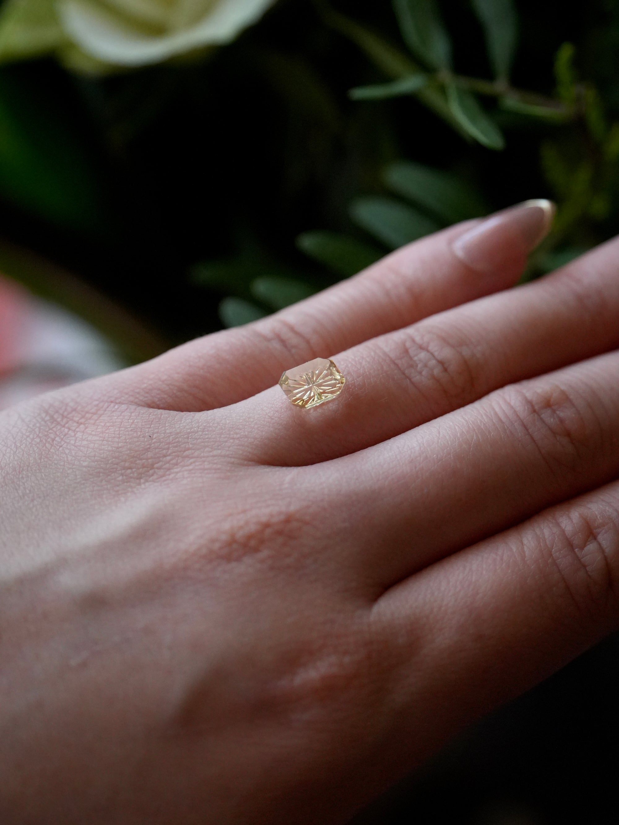 Heliodor 1.54ct Emerald cut