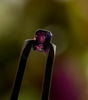 Rare 1.07ct Natural WINZA Sapphire Blue Pink UNTREATED Octagon Cut 6.4x4.8mm
