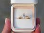 Eden | Moissanite Marquise 14ct Gold Leaves