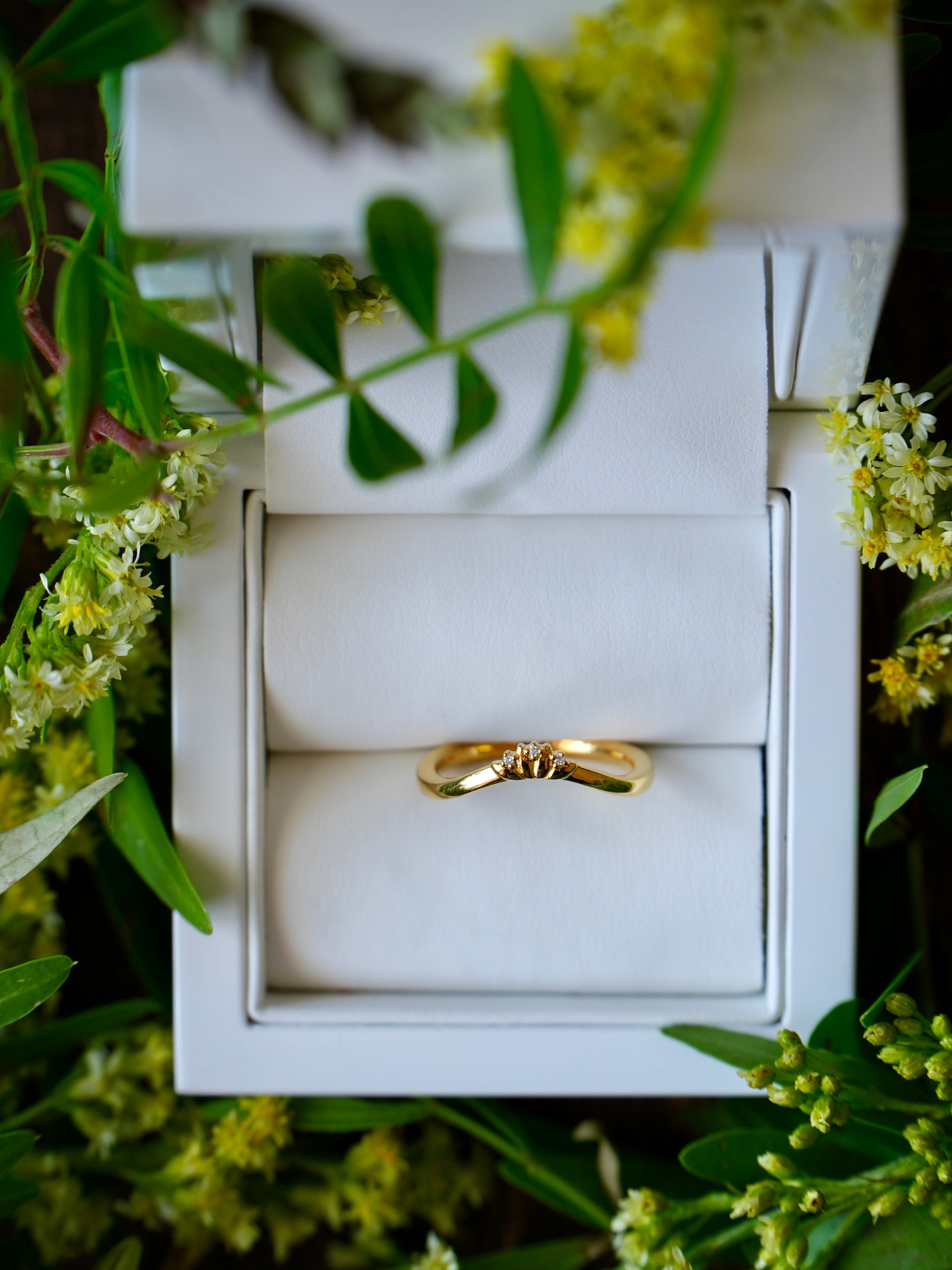 Everbound | Diamonds Gold Wedding Band