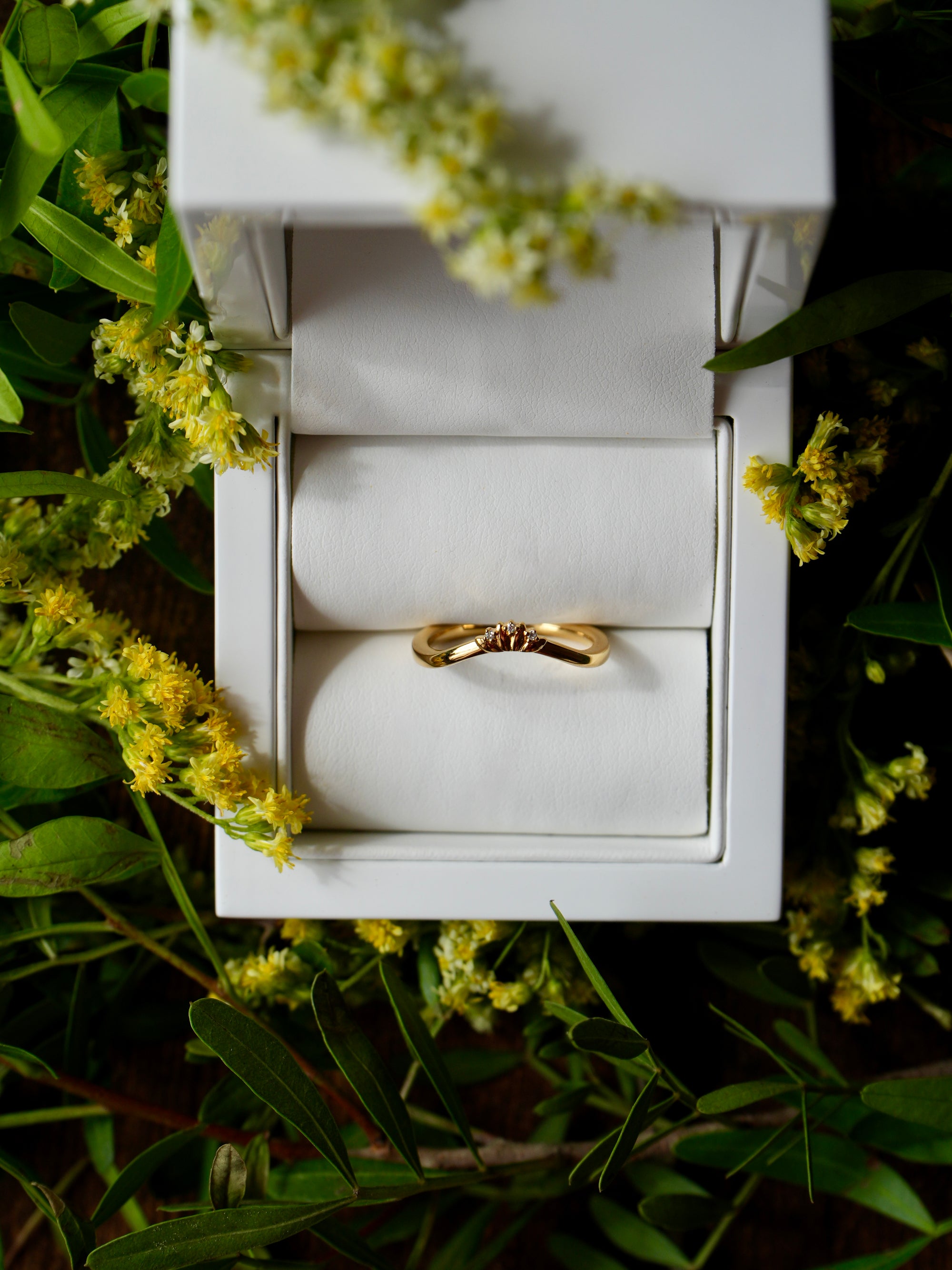 Everbound | Diamonds Gold Wedding Band