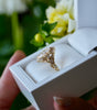 Gold ring in a white box held by a hand with flowers in the background