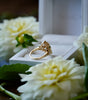 Gold ring on a white box with white flowers around