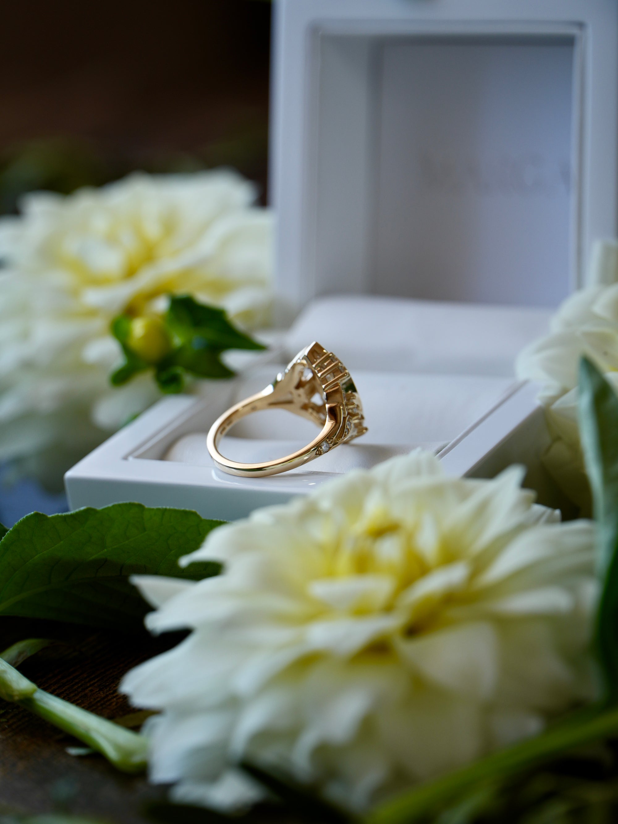 Gold ring on a white box with white flowers around