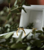 Gold ring with a black gemstone on a white box with green leaves in the foreground