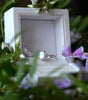 Diamond ring in a white box with 'MARGA' branding, surrounded by flowers.
