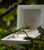 Gold ring with a green gemstone in a white jewelry box on a natural background