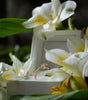 Gold ring on a white box with white flowers in the background