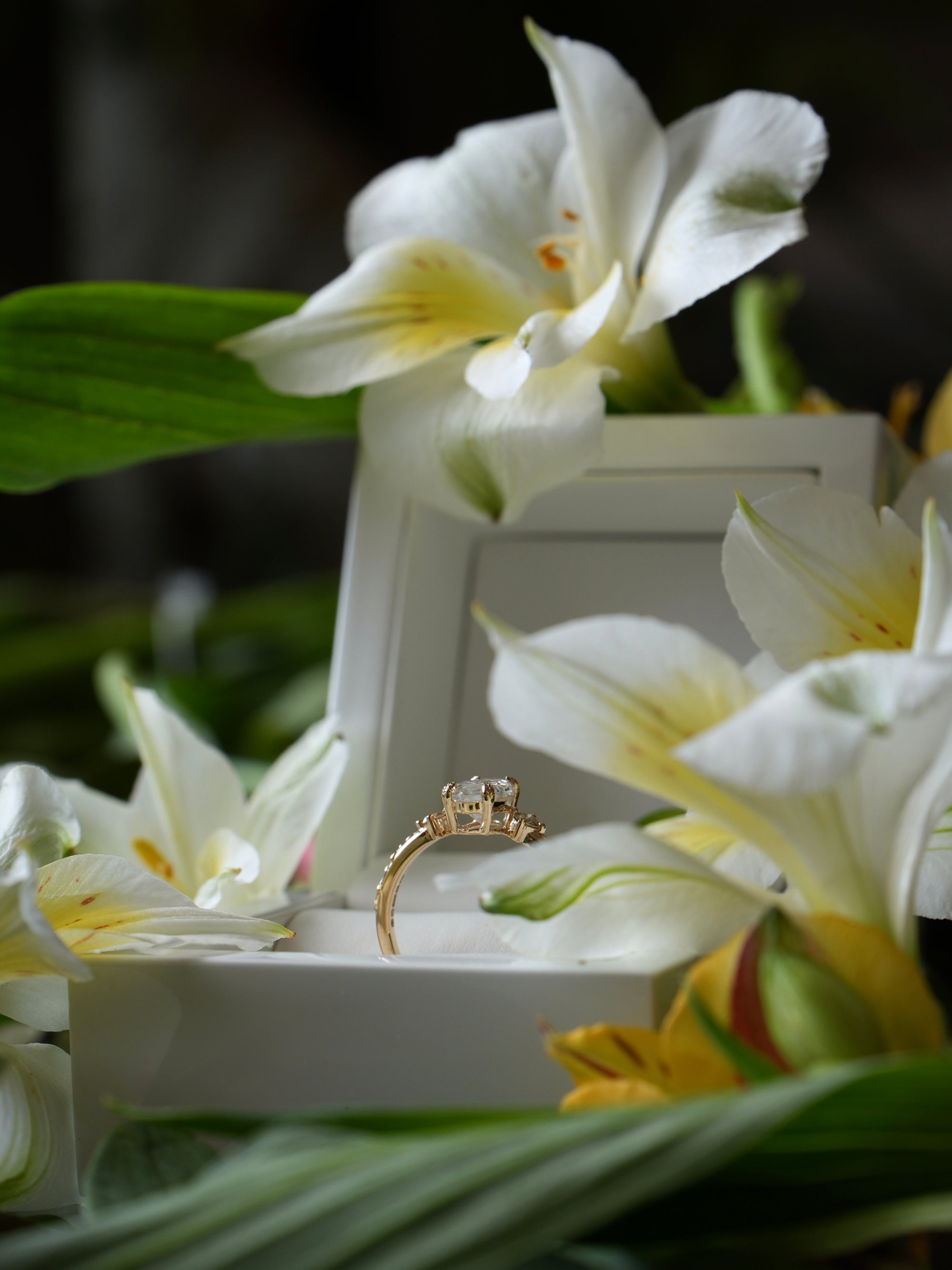 Gold ring on a white box with white flowers in the background