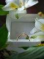 Gold ring on a white box with white flowers in the background