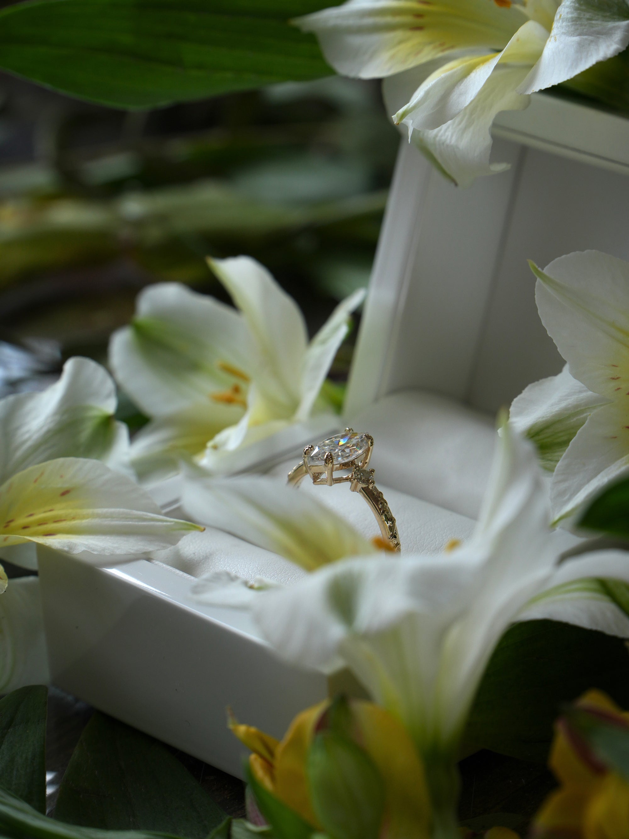 Gold ring in a white box surrounded by white flowers