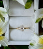 Diamond ring in a white box surrounded by white flowers
