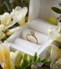 Gold ring with a diamond in a white jewelry box surrounded by white flowers.