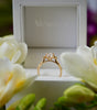 Gold ring on a white stand with white flowers and a blurred background