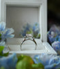 Engagement ring in a decorative box with floral elements