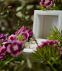 Gold ring with a green gemstone in a white box surrounded by pink flowers.