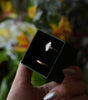 Black jewelry box with a diamond ring held by a hand against a blurred floral background